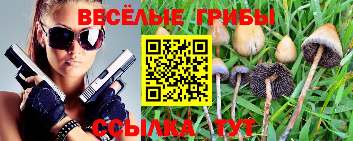 Псилоцибиновые грибы мицелий Белгород